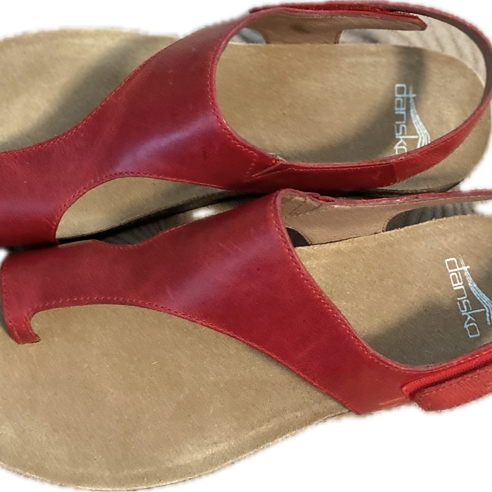 Dansko Reece Waxy Burnished Shoes - Red